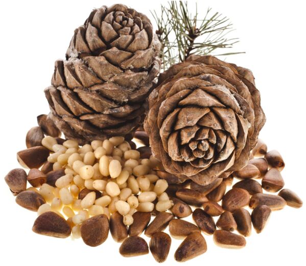 Pine nuts, its use helps solve problems with potential
